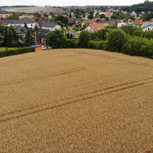 Prodej stavebního pozemku 1135 m2 + Zahrada – Wichterleho, Velké Přílepy - 8