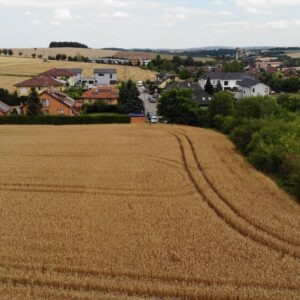 Prodej stavebního pozemku 1135 m2 + Zahrada – Wichterleho, Velké Přílepy - 7