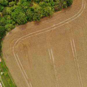 Prodej stavebního pozemku 1135 m2 + Zahrada – Wichterleho, Velké Přílepy - 3