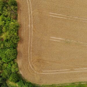 Prodej stavebního pozemku 1135 m2 + Zahrada – Wichterleho, Velké Přílepy - 2